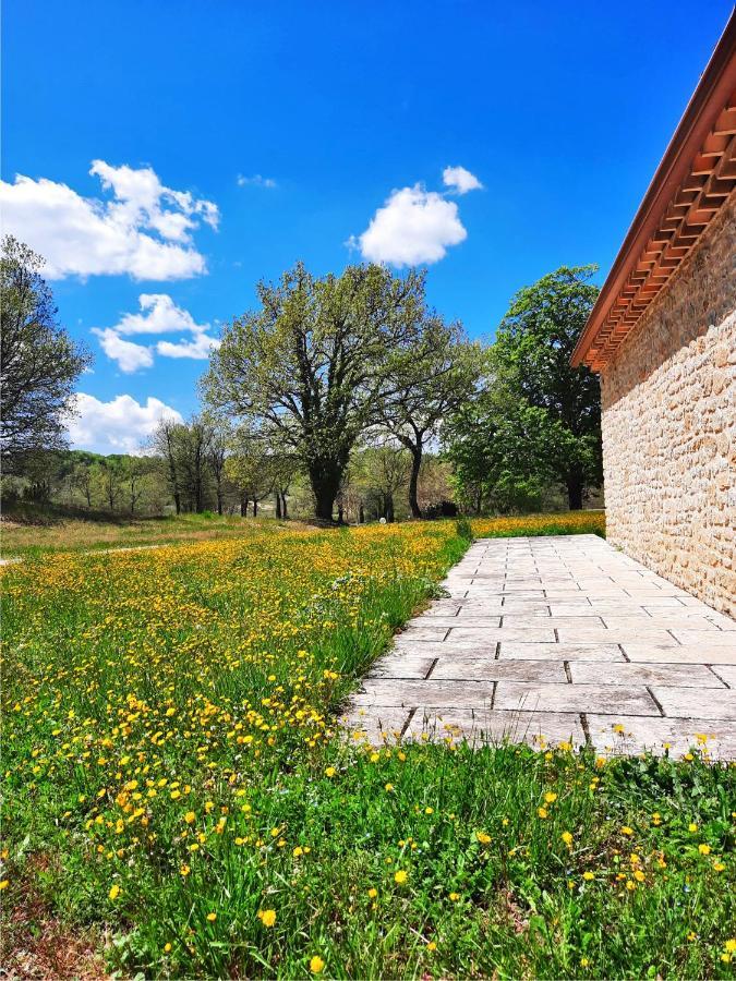 Le Marronnier Niozelles Exterior foto